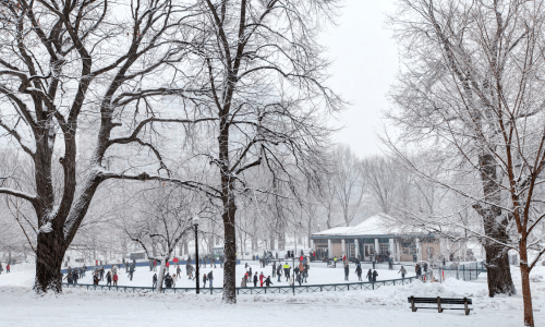 Best Sledding & Ice Skating Spots in South Shore & Greater Boston, MA