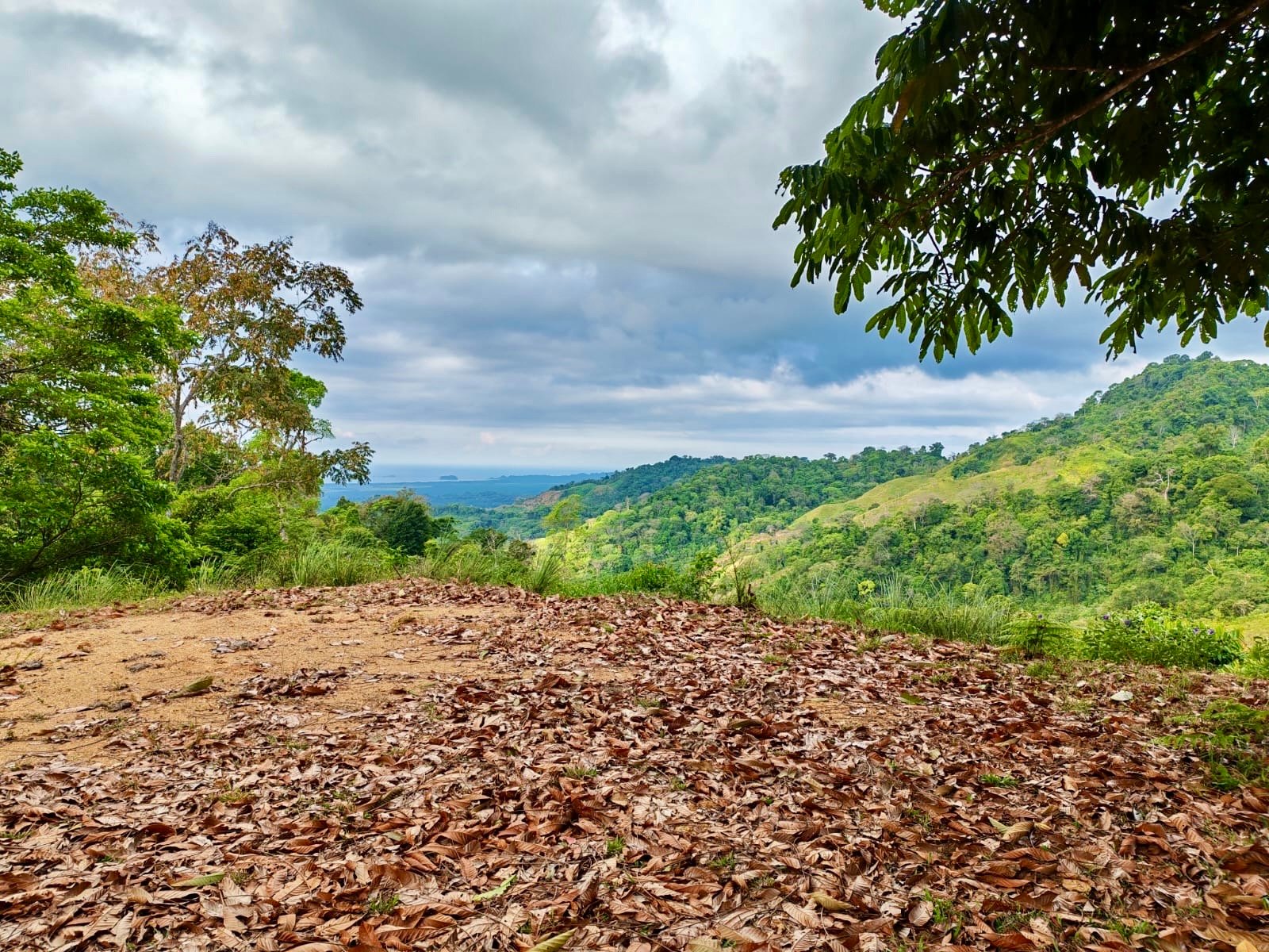 24.7-Acre Ocean View Eco Estate in San Cristóbal de Aguirre | 5 Building Sites