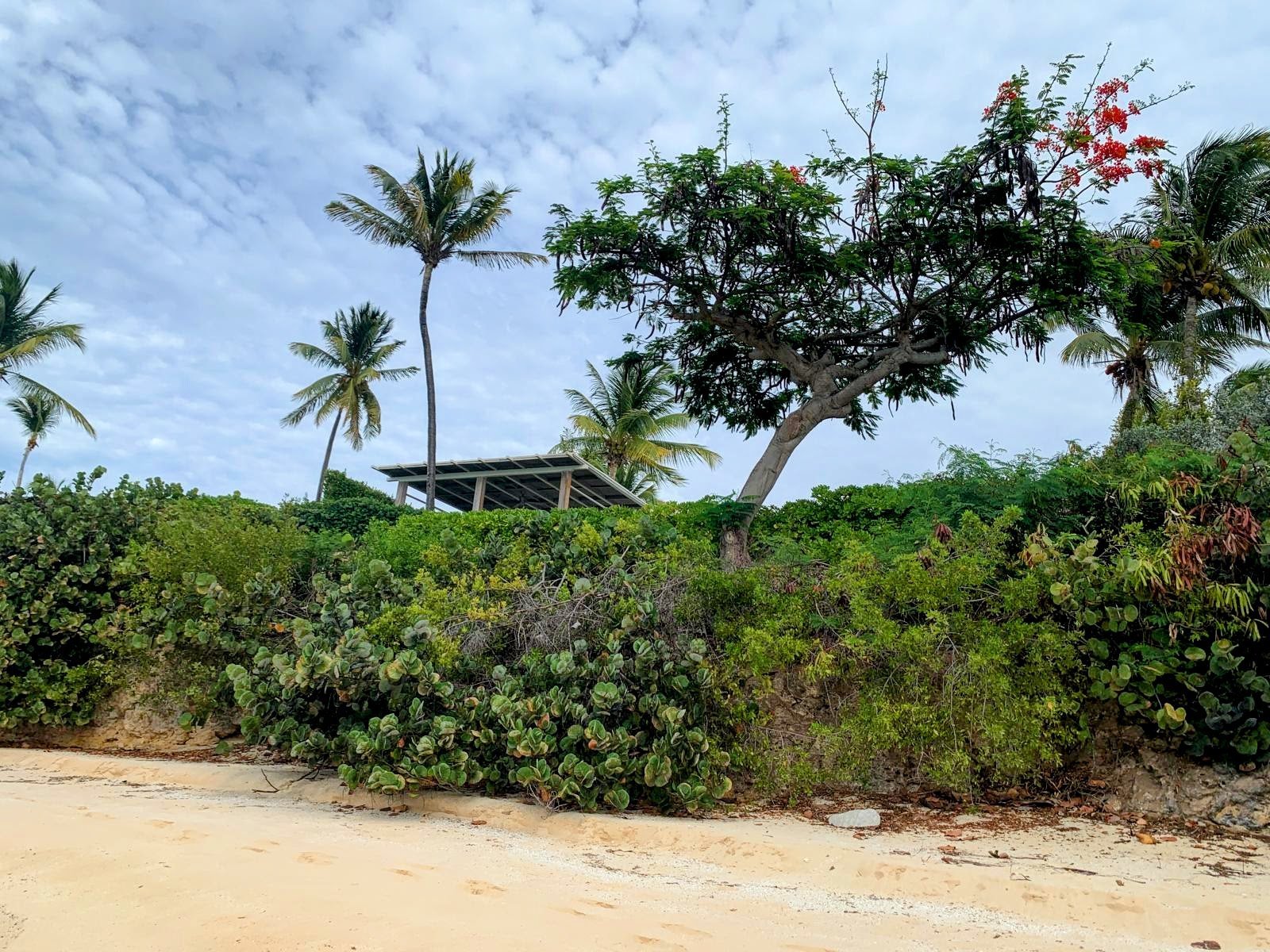 Oceanfront Villa 15