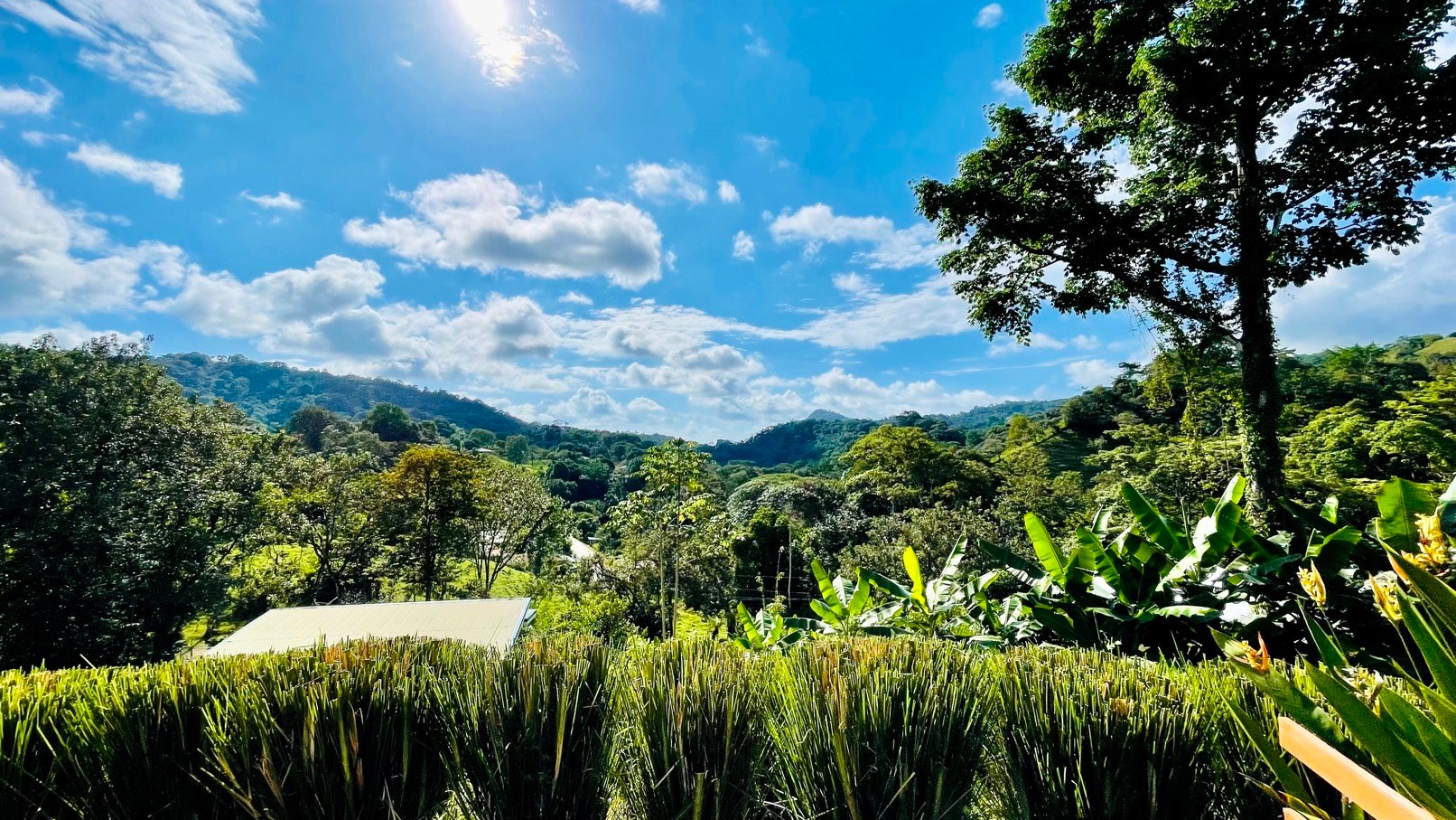Brand New Modern Home in a Private Tropical Setting - Tres Rios