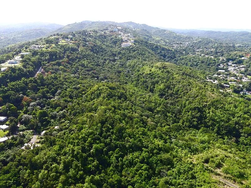 Carr 349 Km 1.01 Bo Quebrada Grande