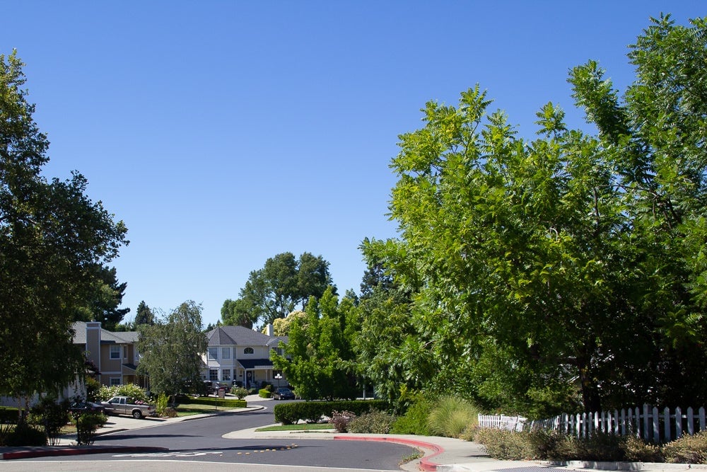 Walnut Creek