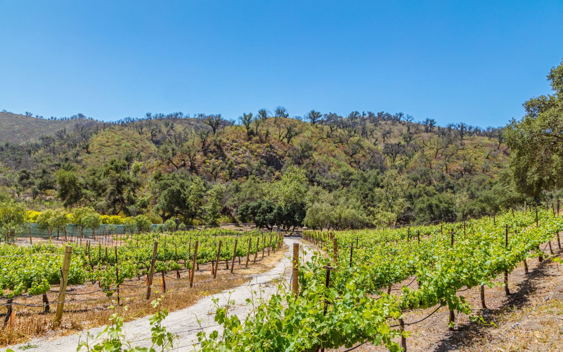 29000 Newton Canyon Road