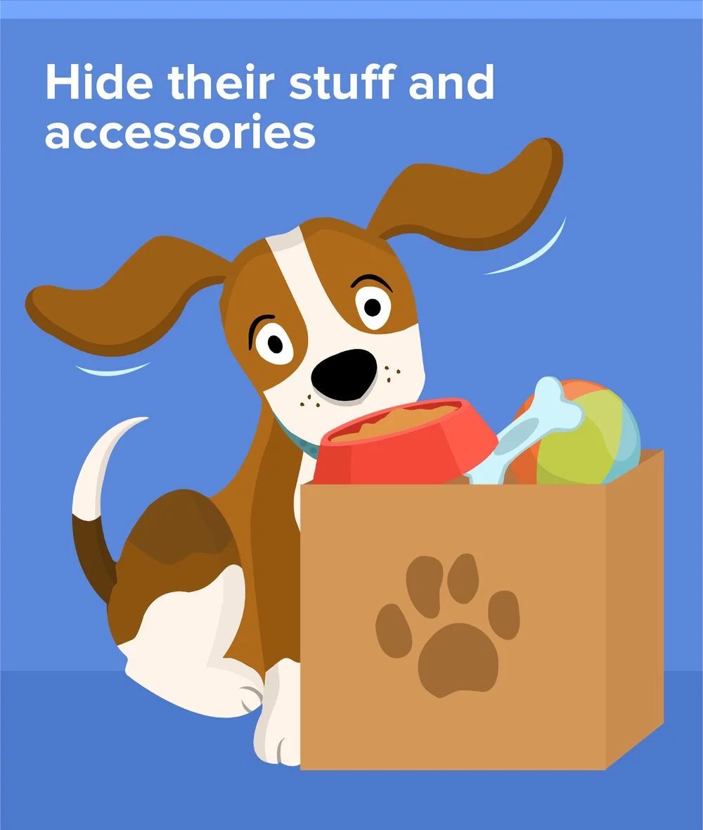 Illustration of a dog beside a box of pet supplies, with the headline “Hide their stuff and accessories.”