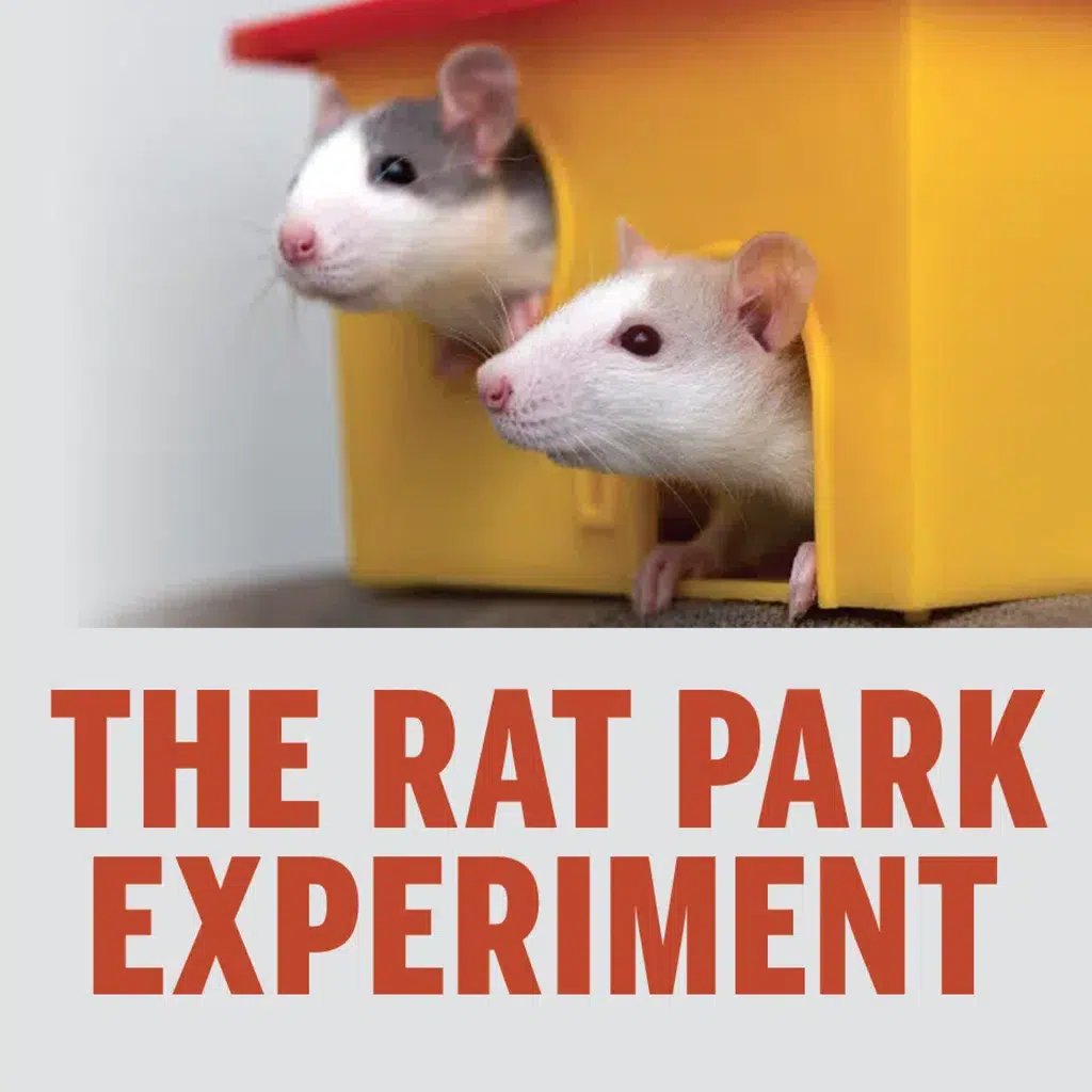 The Rat Park Experiment