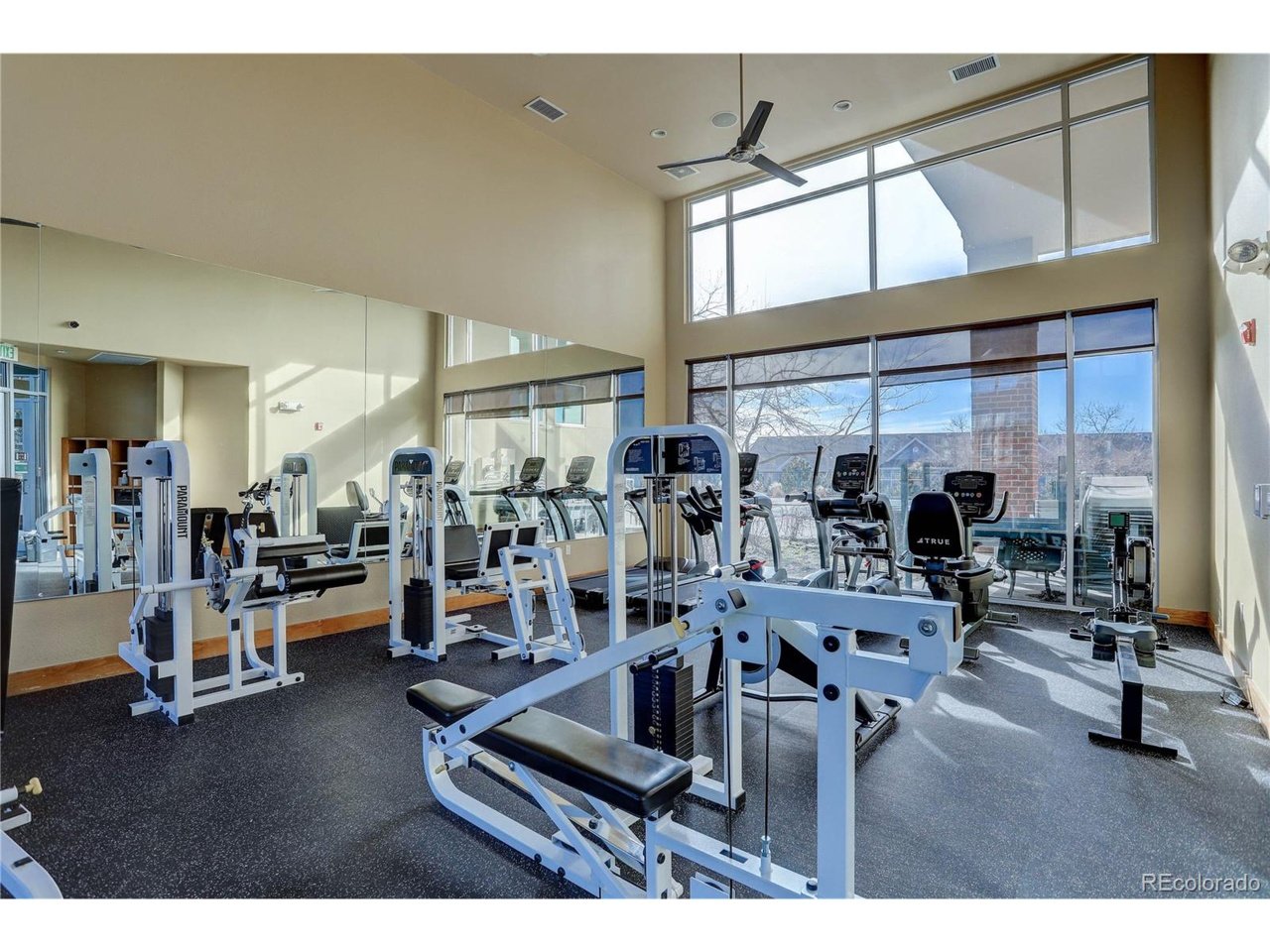10184 Park Meadows Drive Unit# 1213