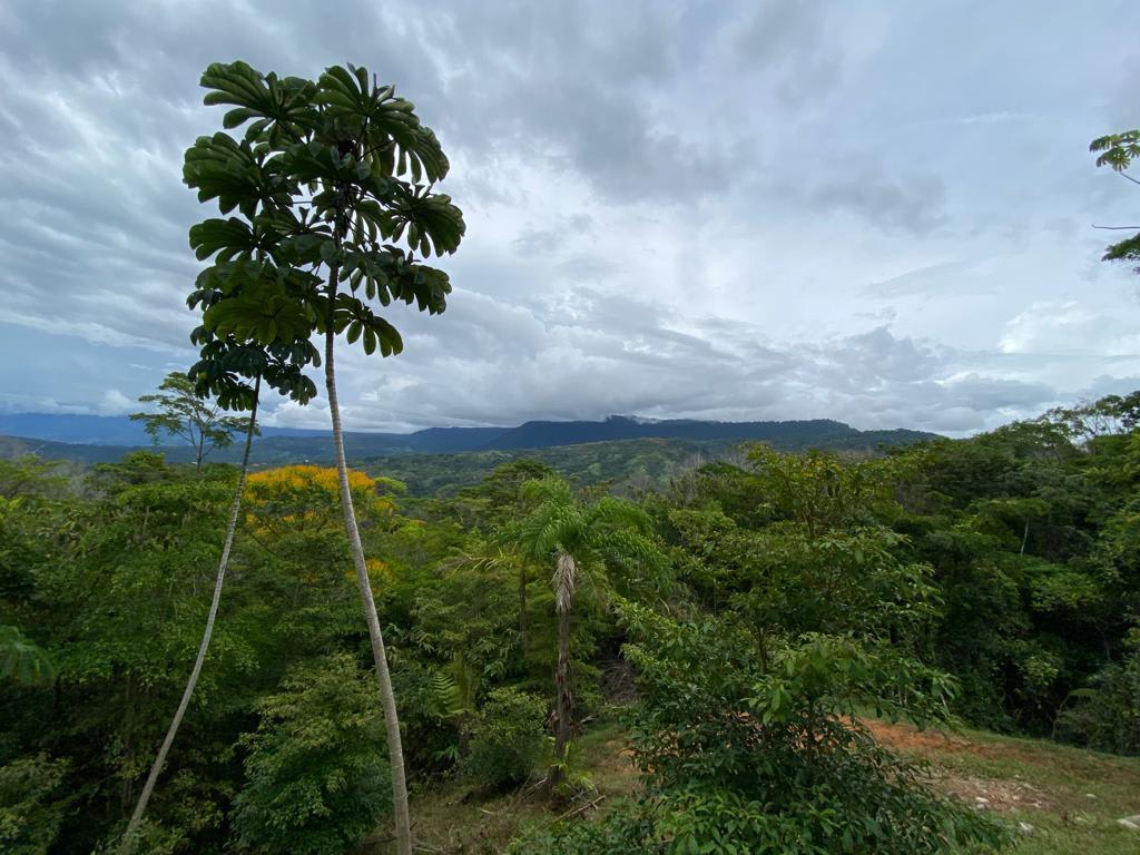 Casa Kongo