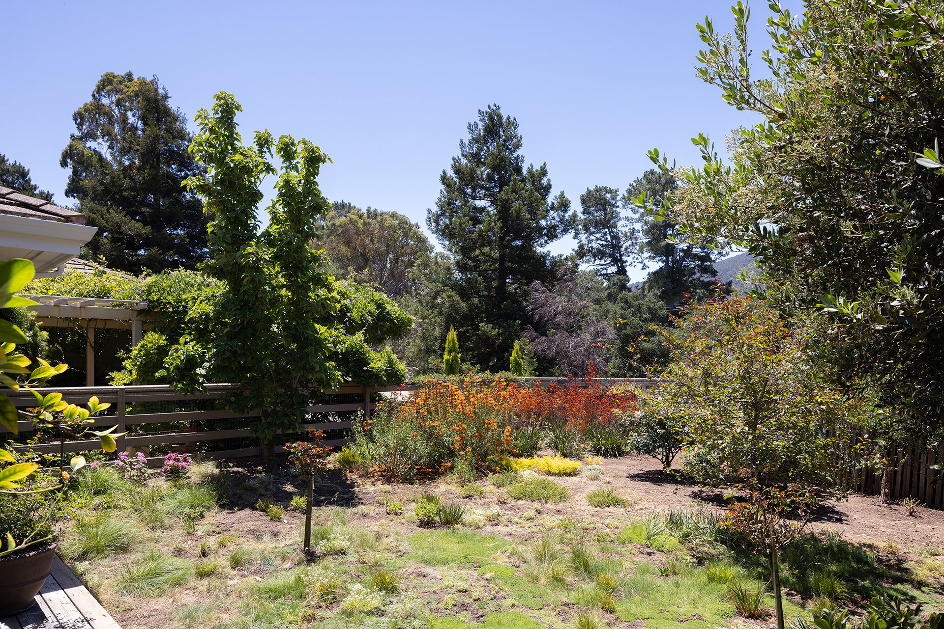 The Miramonte Estate