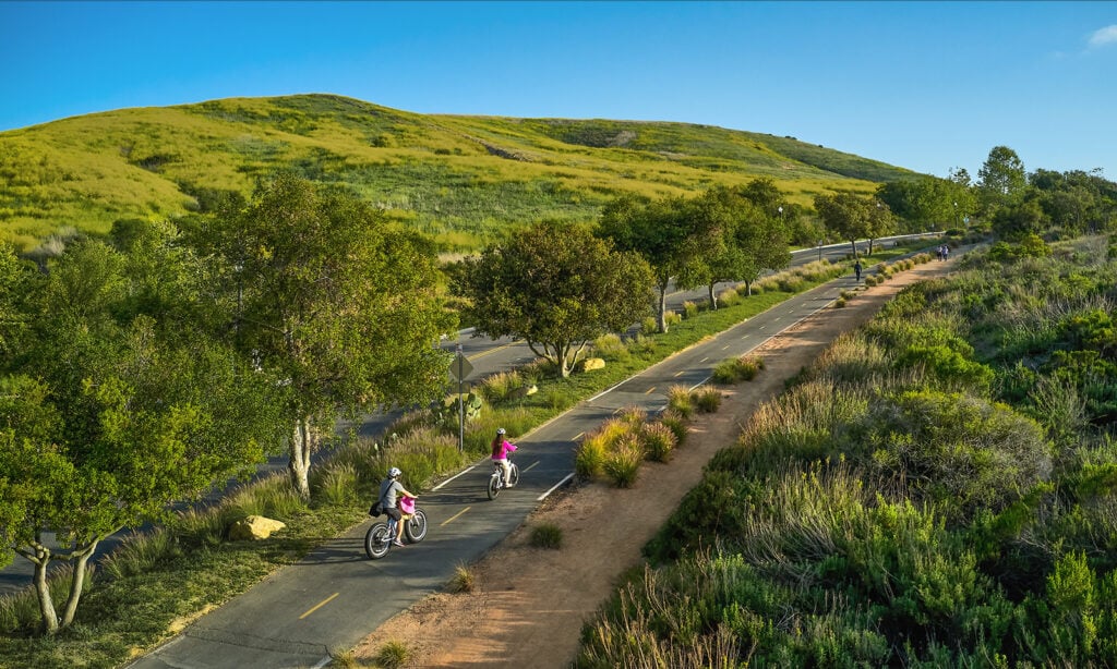 Shady Canyon Trail