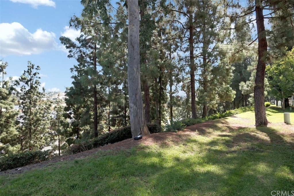 12 Birchwood Ln