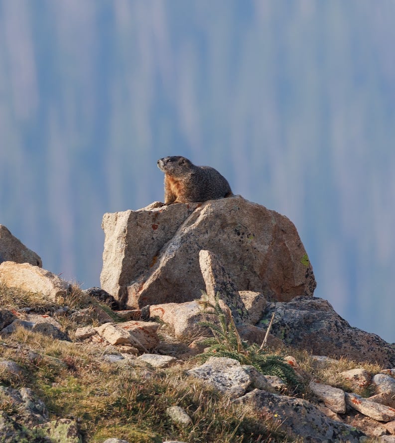 Where the Road Meets the Sky: Driving Trail Ridge Road