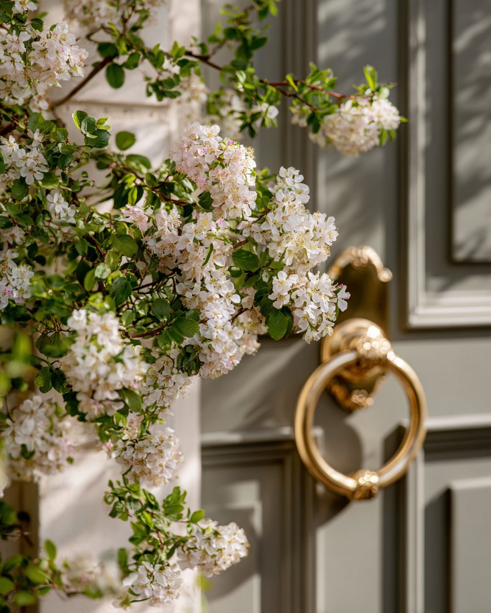 Flowering branches frame a brass ring door knocker on a paneled front door.