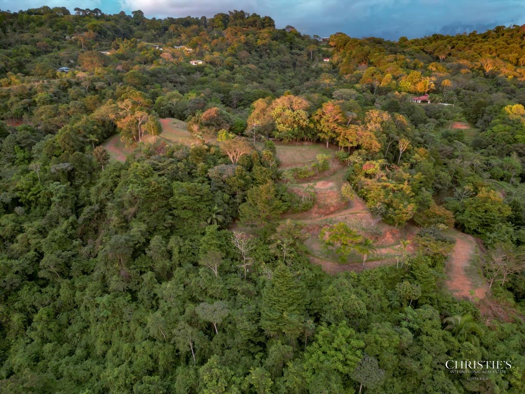 A Rare Thermal-Wellness Development Opportunity - Cacao Estates