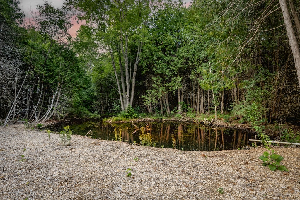 16245 7th Concession Road, King
