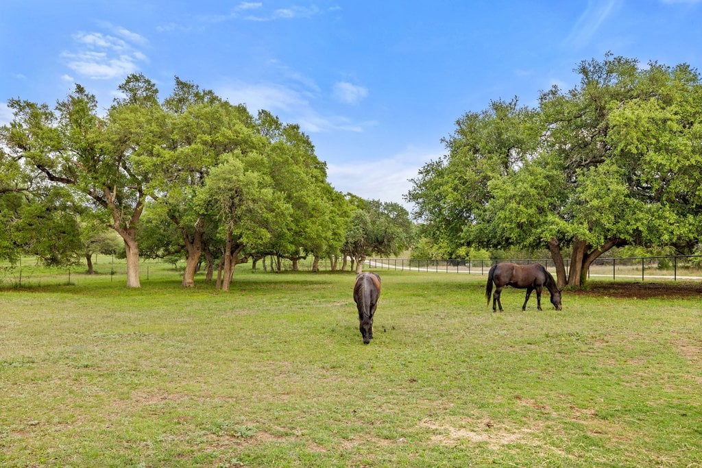 Horseman's Paradise in the heart of Dripping Springs