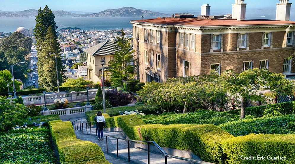 The Lyon Street Steps in San Francisco's Pacific Heights neighborhood, featuring a series of terraced staircases lined with manicured hedges and gardens. Visitors are seen ascending and descending the steps, enjoying panoramic views of the San Francisco Bay and the Palace of Fine Arts in the distance.