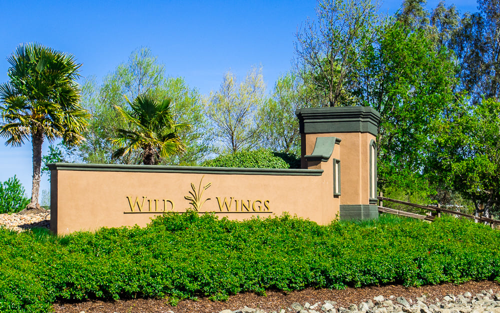 Wild Wings community entrance sign surrounded by hedges and palm trees.