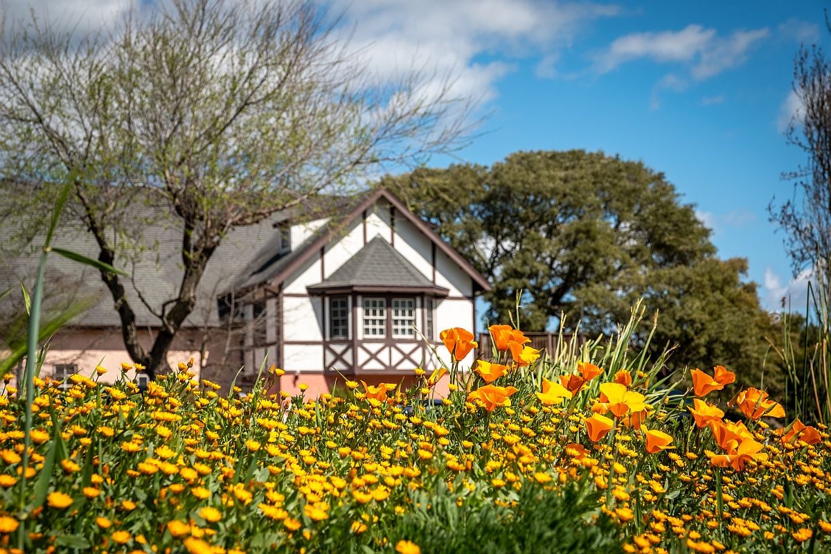 12 Unique Winery Experiences in Sonoma and Napa Wine Country