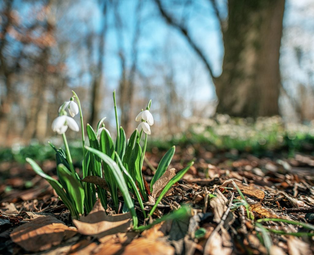 Prepare your home for the Spring 