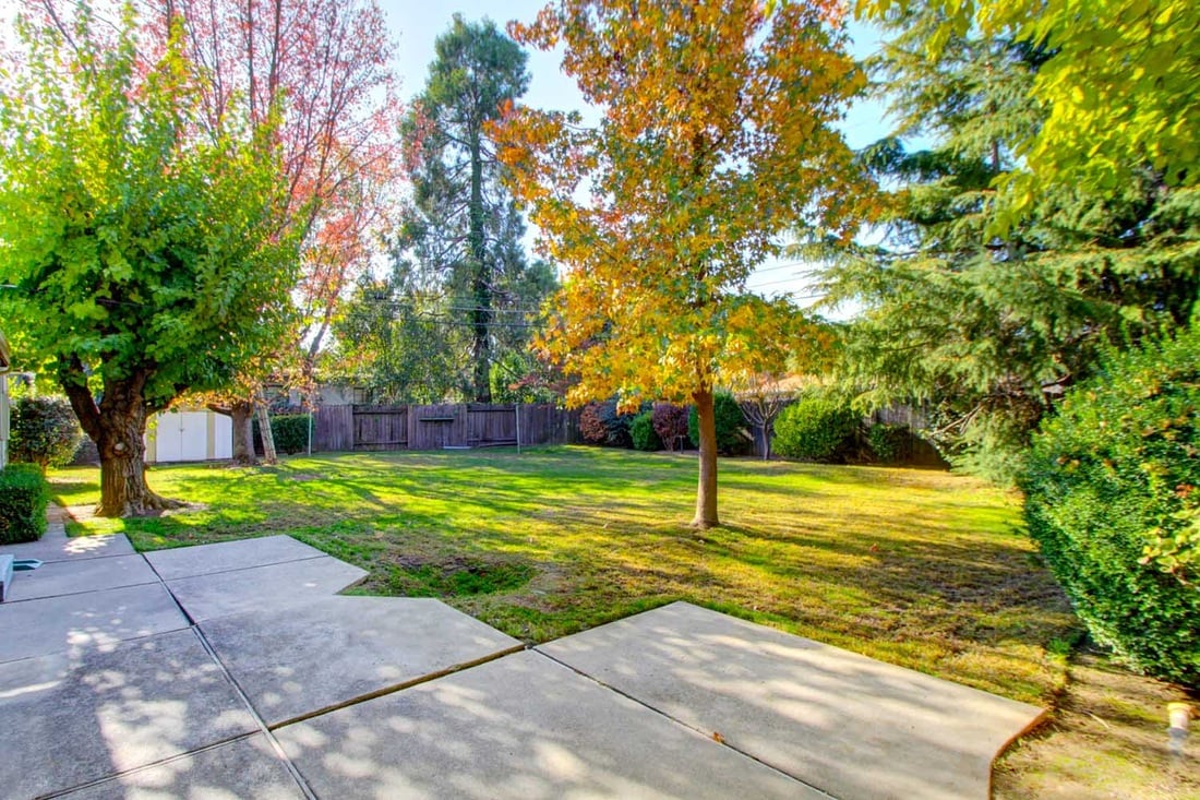 New Carmichael Listing-Great Street!