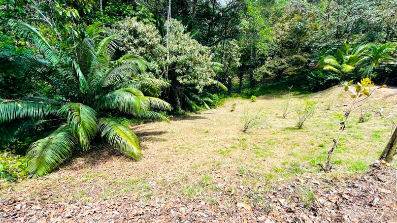 Multi-Home Income Estate Near Marino Ballena National Park