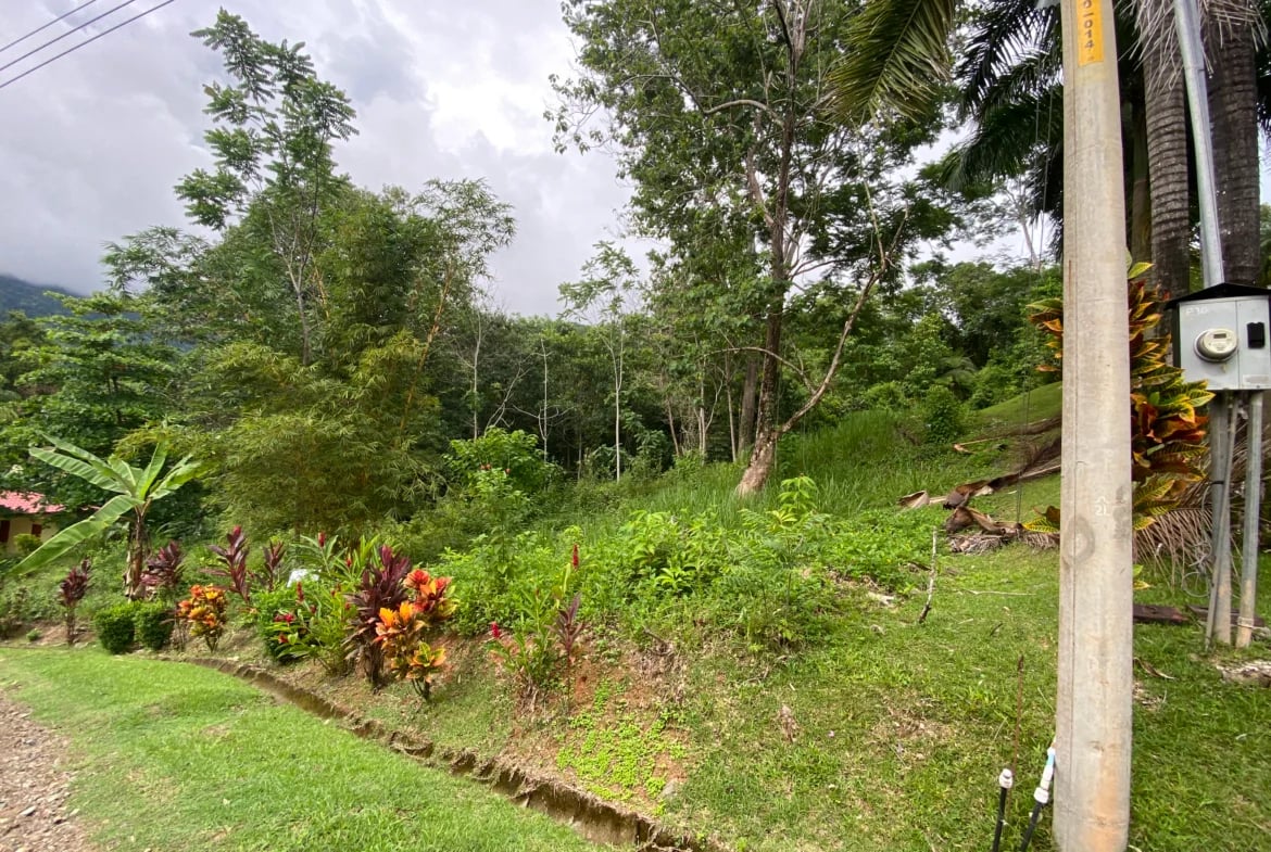Build-Ready Lot for Sale in Ojochal – Palmera del Trópico Phase 9 | Gated Community, Nature & Beaches Nearby