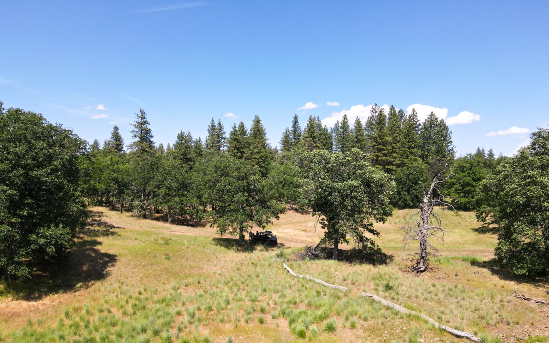 1056 Rock Creek Rd