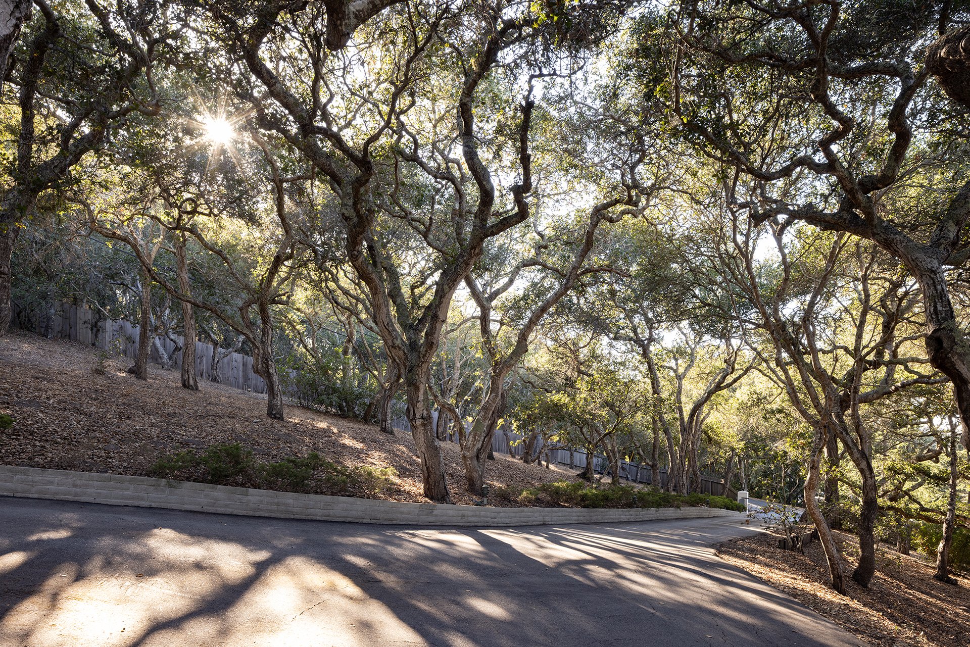 12724 Sundance Lane 