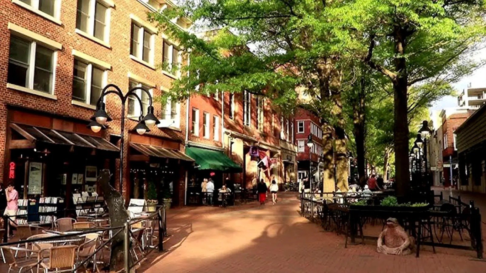 Tree-lined Charlottesville pedestrian street with brick storefronts and outdoor café seating.