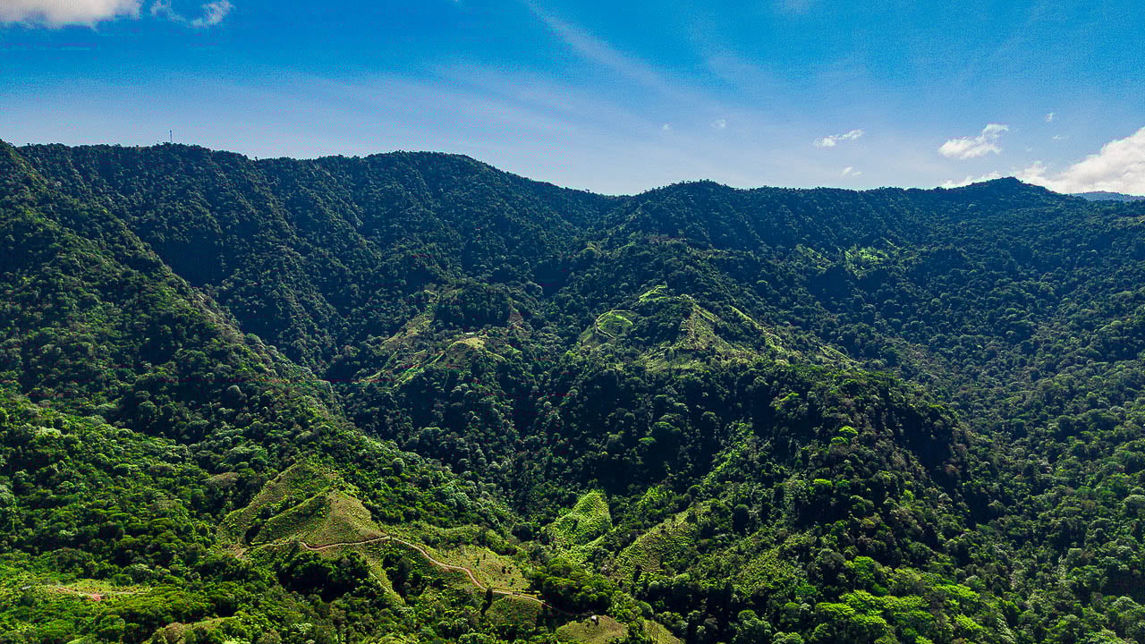 Whale Tail Views Luxury Waterfall Farm