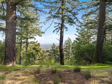 1090 Bear Gulch Rd