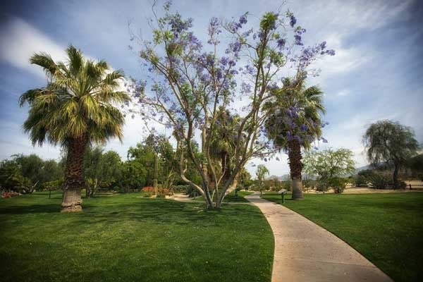 Palm Springs, CA