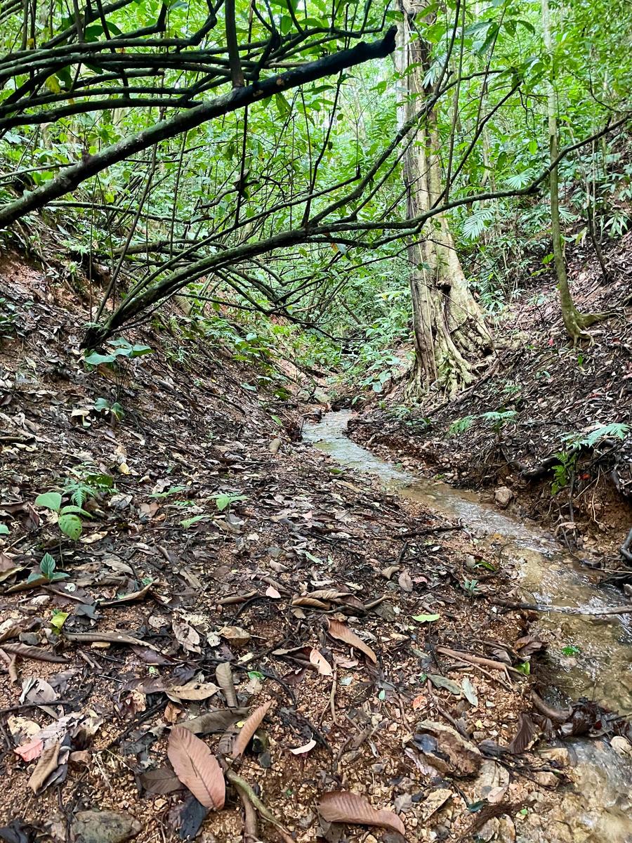 Private Waterfall Ocean View Land, Ojochal, Puntarenas