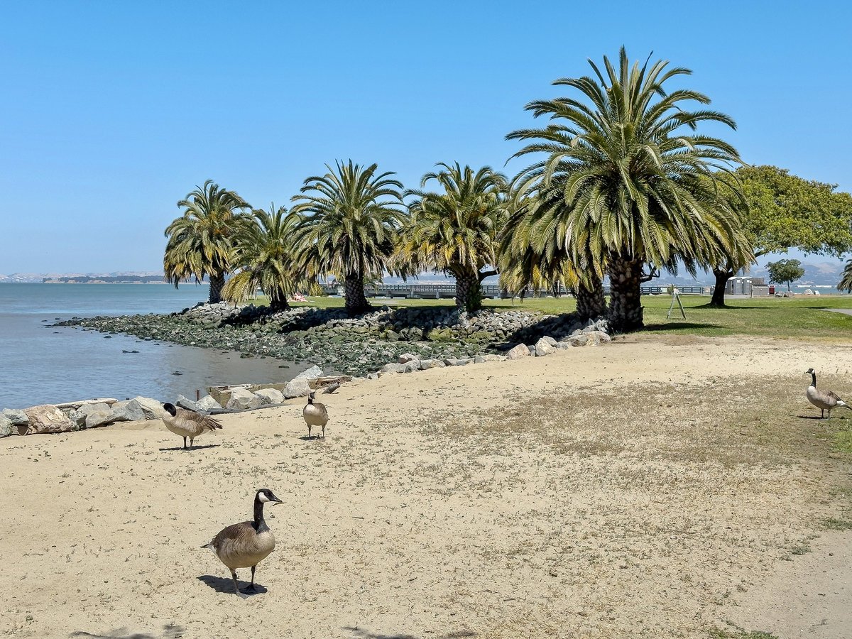 15 Sulgrave Lane, San Rafael