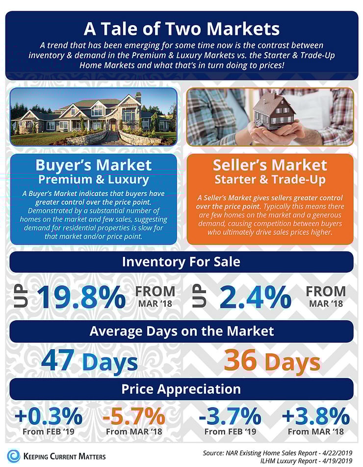 Market Analysis Infographic