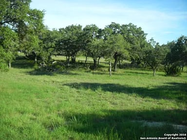 2484 George Pass