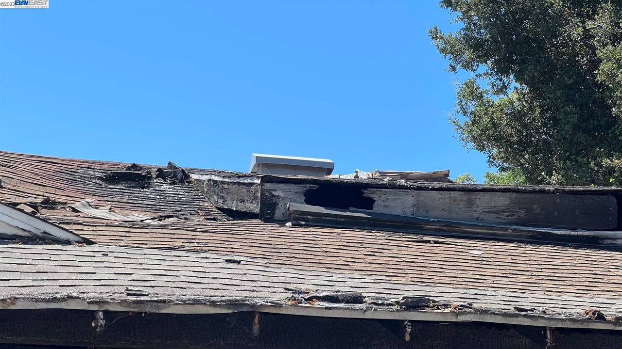 802 Buena Vista