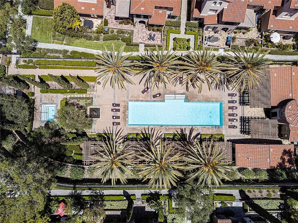 Aerial view of a community swimming pool bordered by palm trees, lounge chairs, and landscaped gardens.