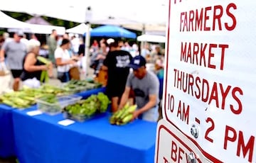 Farm to Table Living in Fairfield County, CT