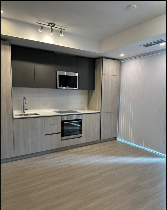 28 Widmer Street #3021