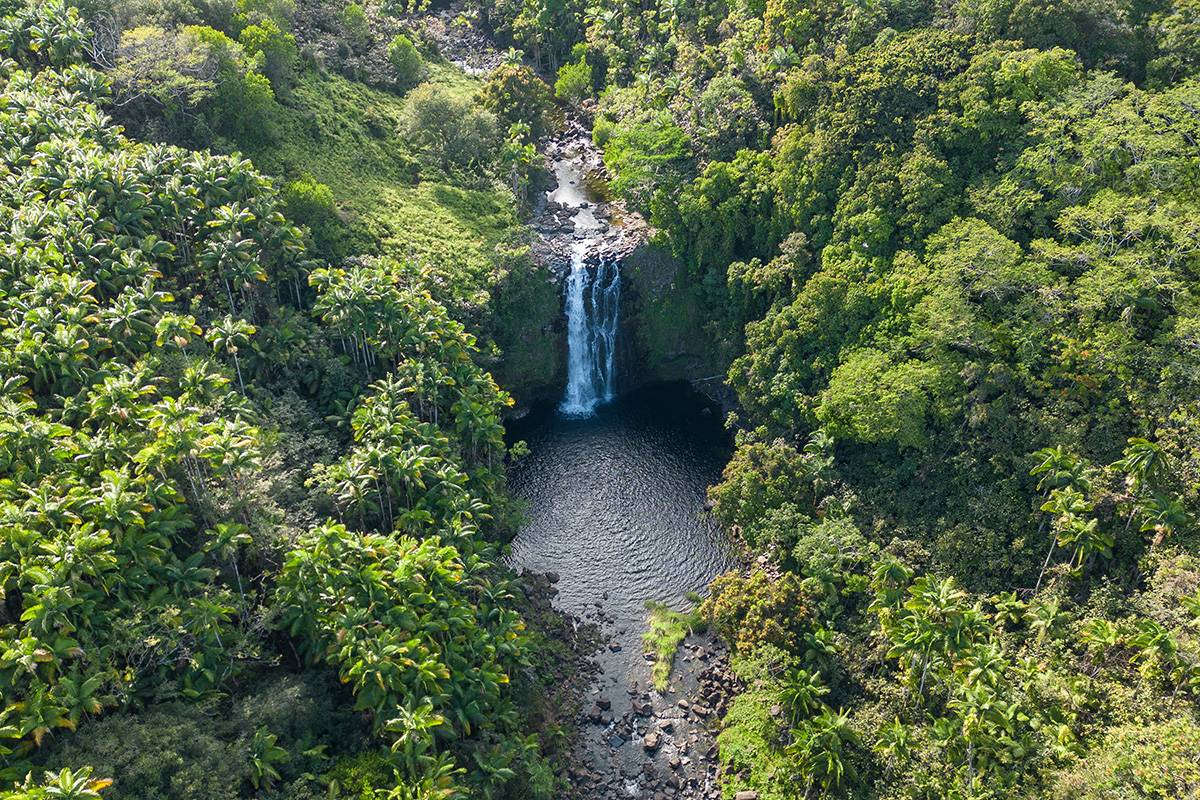 HAMAKUA COAST BIG ISLAND - OCEANFRONT 40 ACRES - WATERFALLS