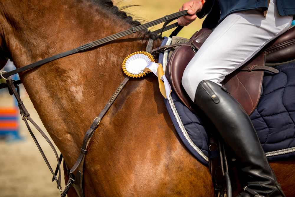 Dressage Clinic at Valenti Estate & Saddle Club of Rancho Santa Fe