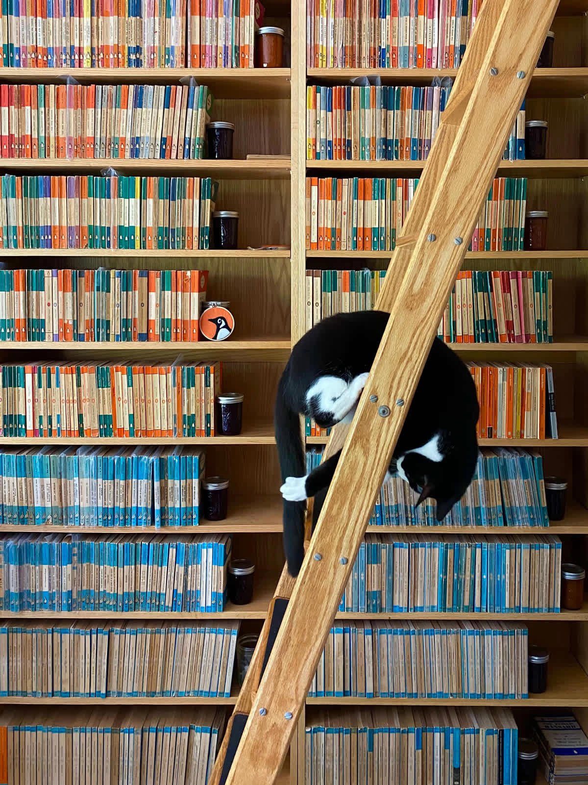 To Build or Not to Build?