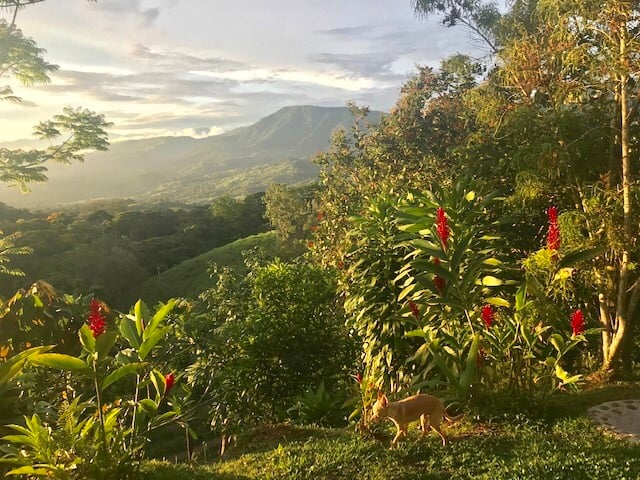 Waterfall River Luxury Home, Dominical, Puntarenas