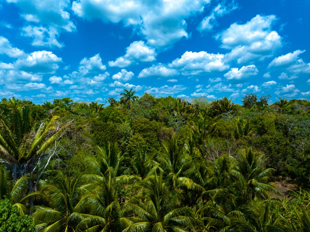 Rancho Del Cielo Maya