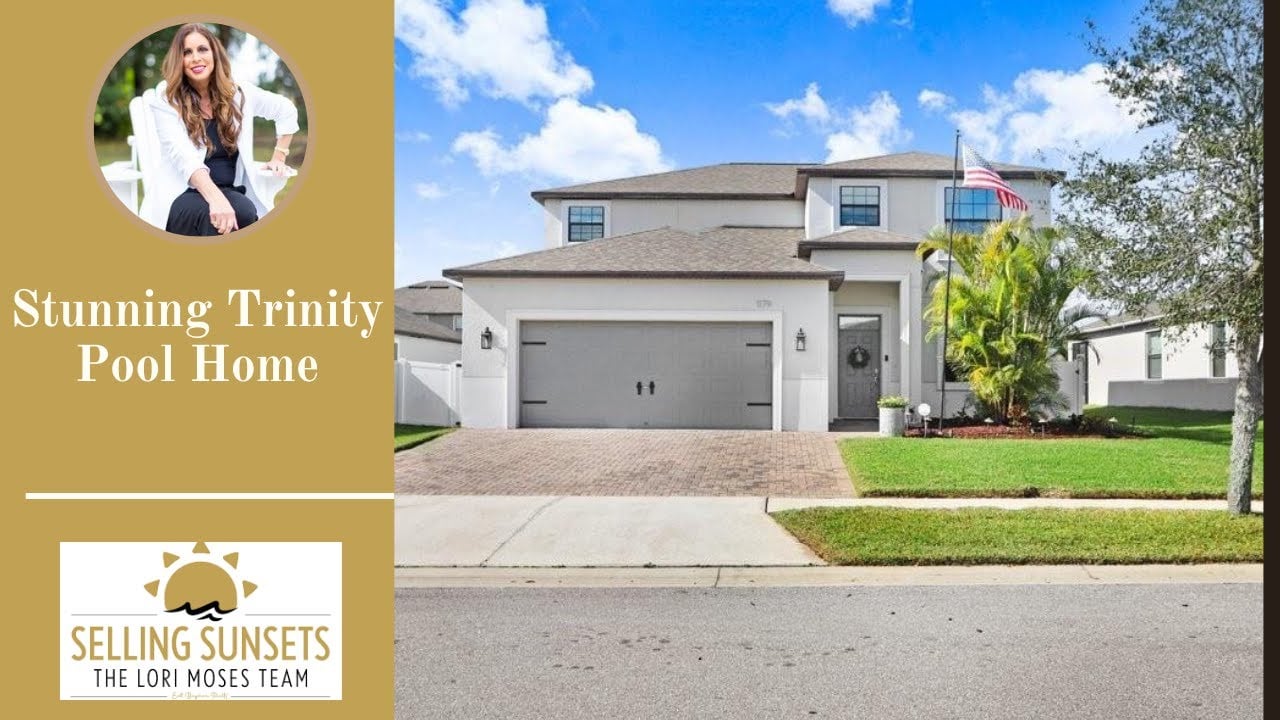 1179 LAWNVIEW TER, TRINITY, FL 34655