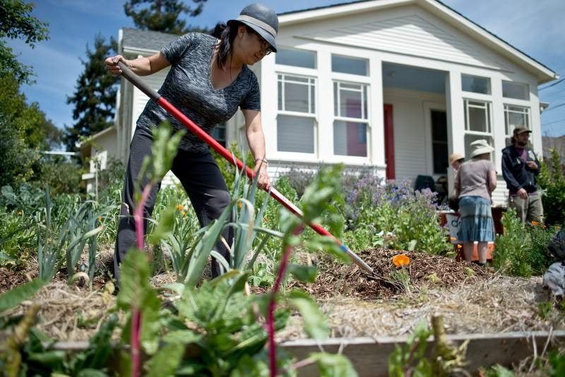 Ideas for Giving Tuesday in Sonoma County