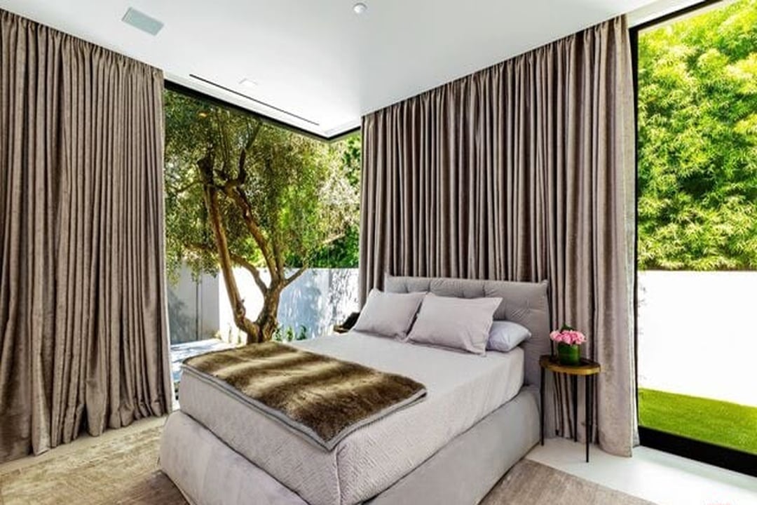 Orchid Velvet
