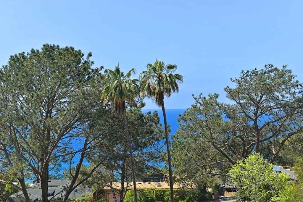 342 Pine Needles Dr