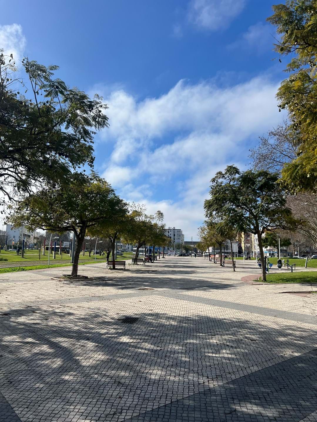 Prime Commercial Space Near Lisbon – Tenant in Place – 5% Annual Return